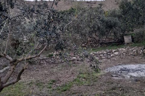 Byhus i Albanchez, Almeria, Albanchez - € 50.000 | Ref: Casa Vera - foto 42